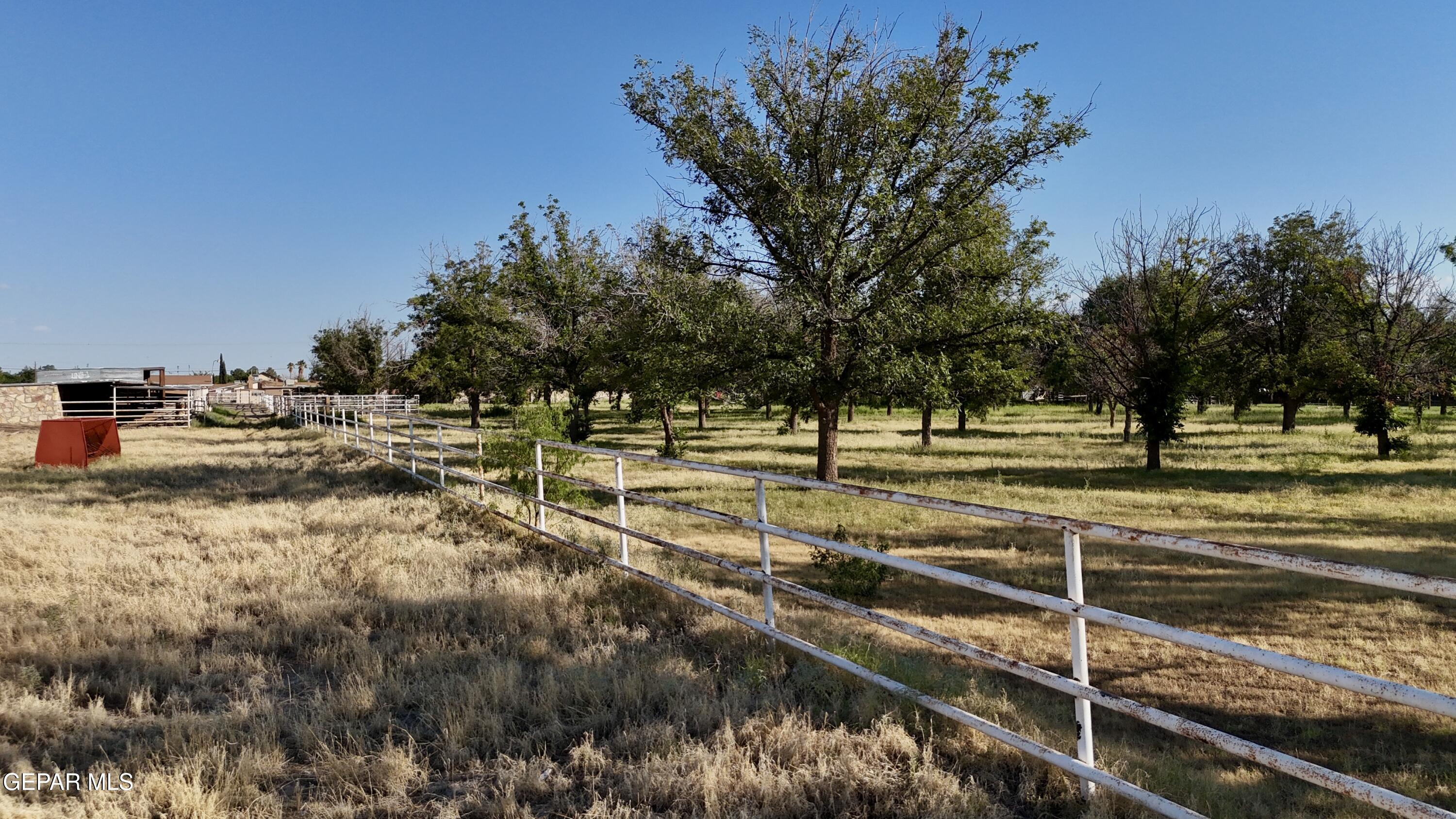 875 Le Barron Road El Paso, TX 79907 - Photo 14 of 14 a view of a tennis court