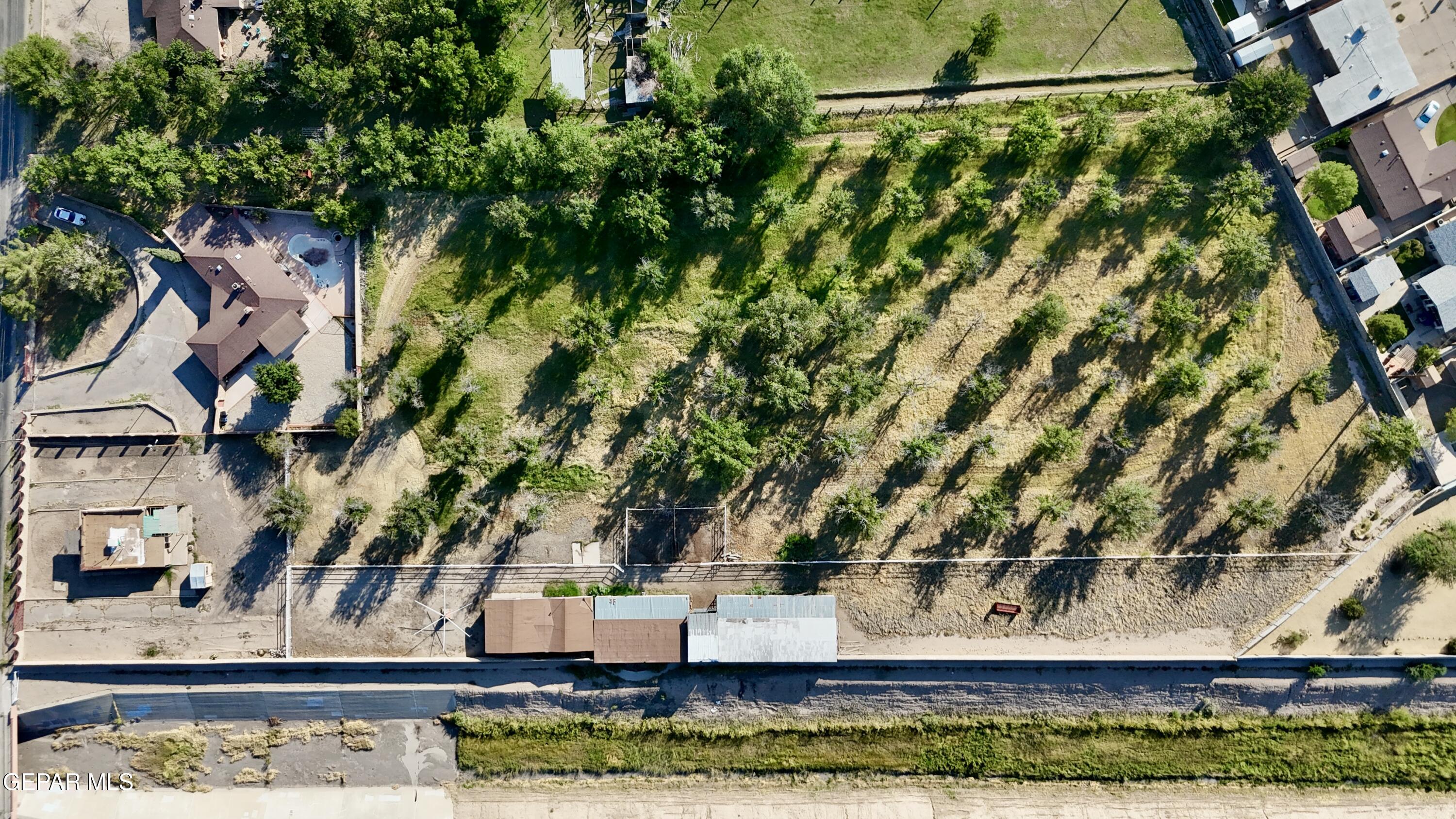 875 Le Barron Road El Paso, TX 79907 - Photo 7 of 14 a view of a yard with plants