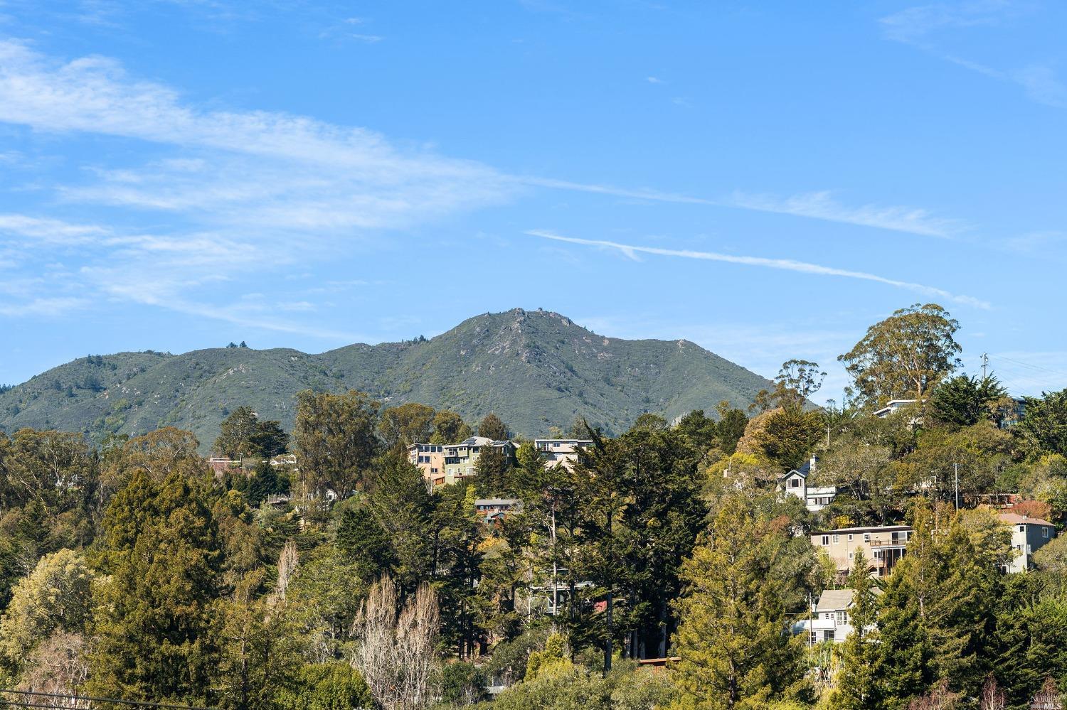 125 Reed Street Mill Valley, CA 94941 - Photo 1 of 1 a view of a large tree with mountains in the background