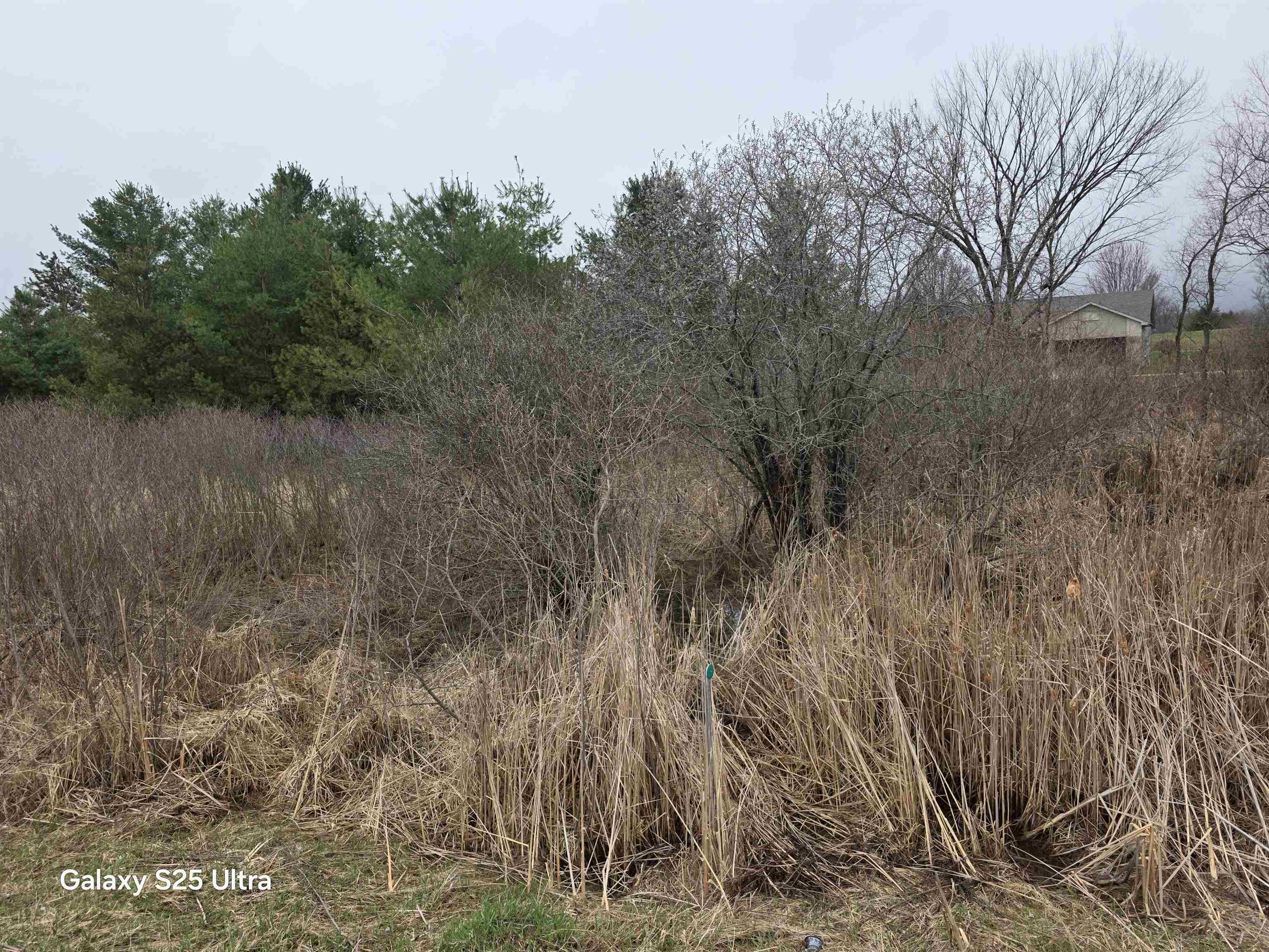 Lot 551 Hockaday Road, Unit HOCKADAY & DORMIE DR Gladwin, MI 48624 - Photo 11 of 11