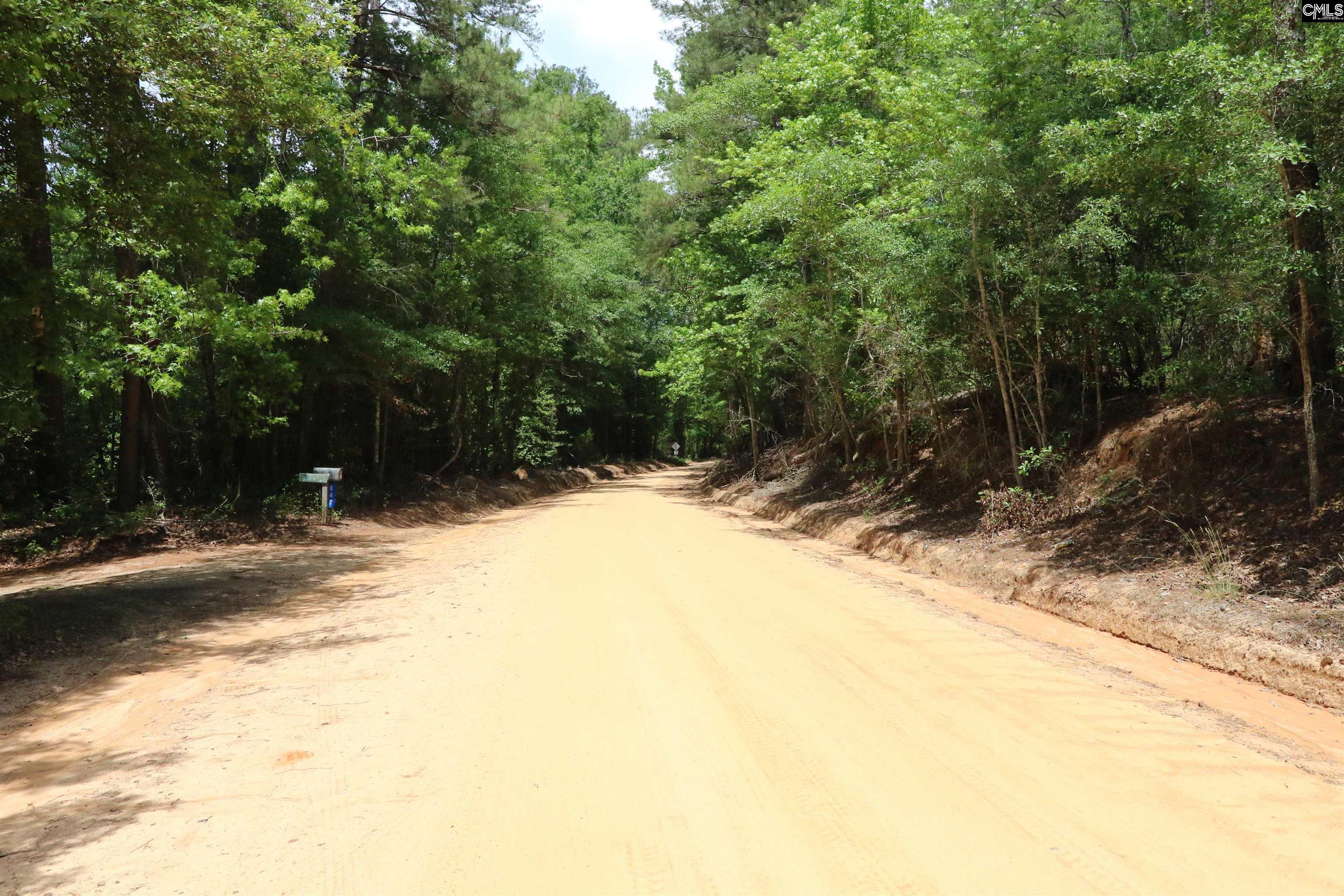 1091 Pine Grove Road Leesville, SC 29070 - Photo 3 of 19