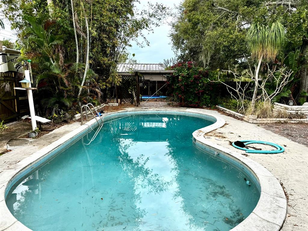 1407 Tampa Road Palm Harbor, FL 34683 - Photo 3 of 14