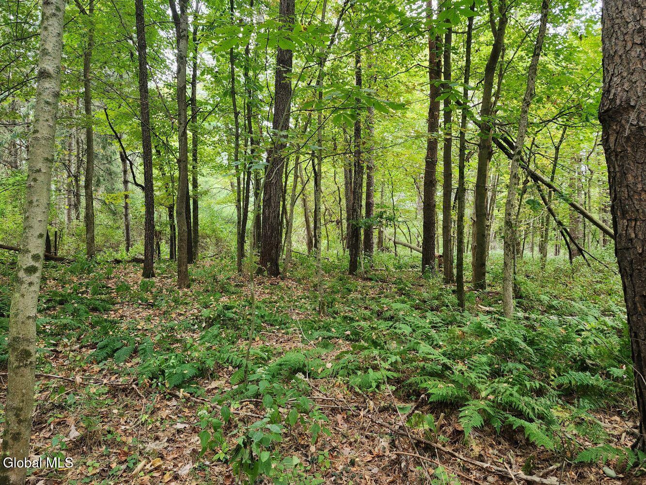 L5 Stage Road Buskirk, NY 12028 - Photo 1 of 10 20250919_084420