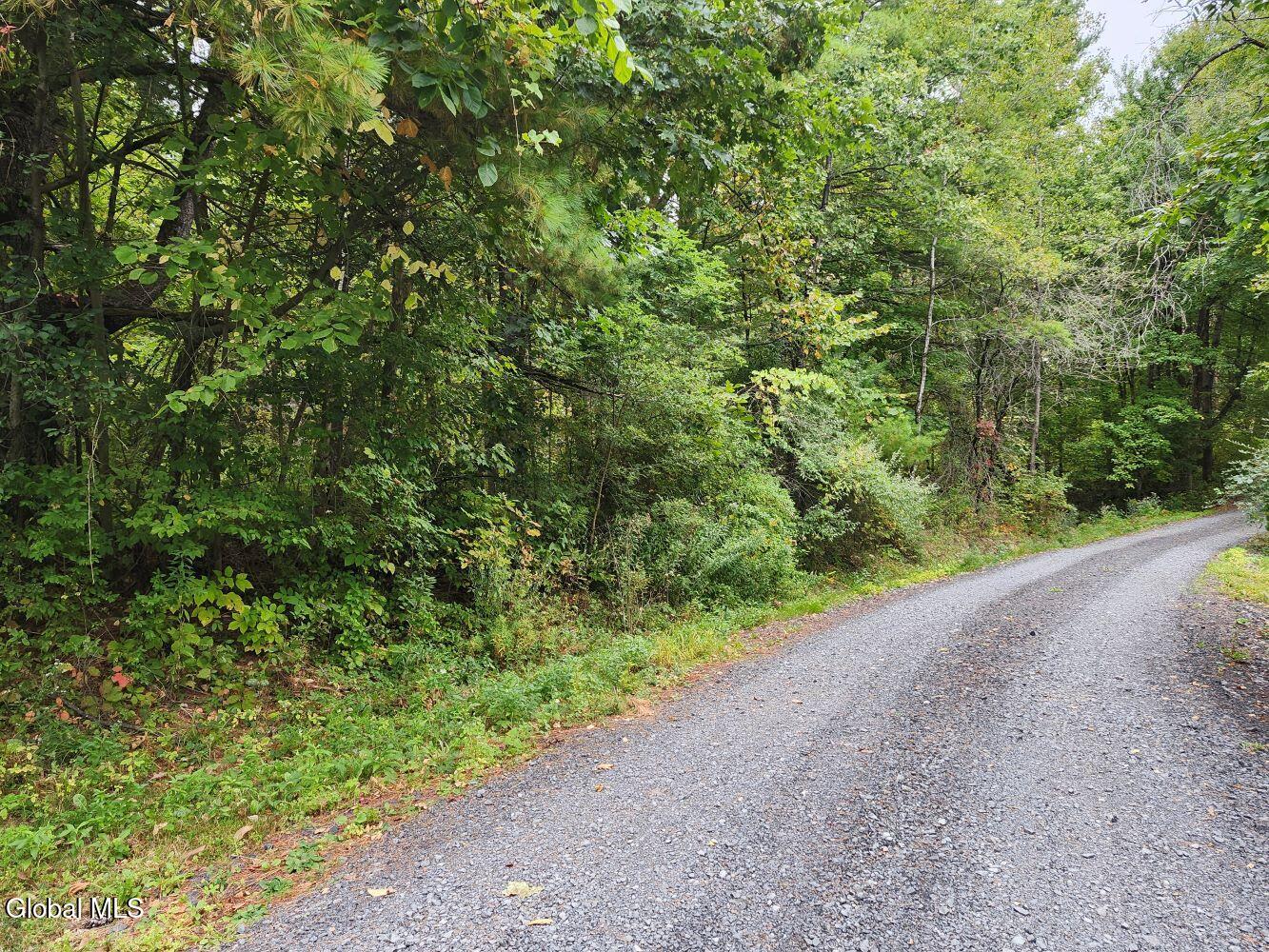 L5 Stage Road Buskirk, NY 12028 - Photo 4 of 10 20250919_084106