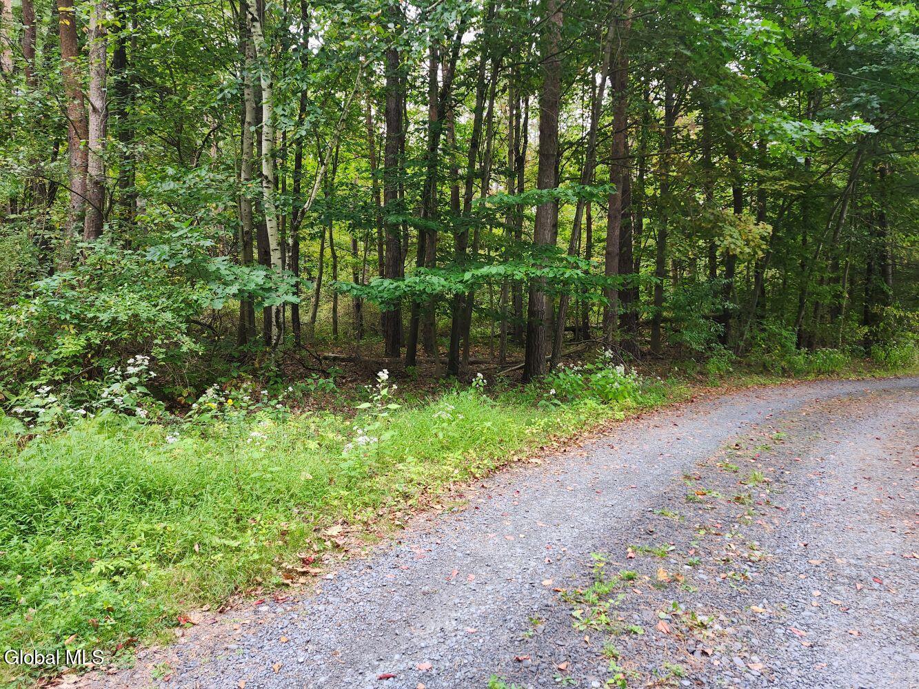 L5 Stage Road Buskirk, NY 12028 - Photo 5 of 10 20250919_084228