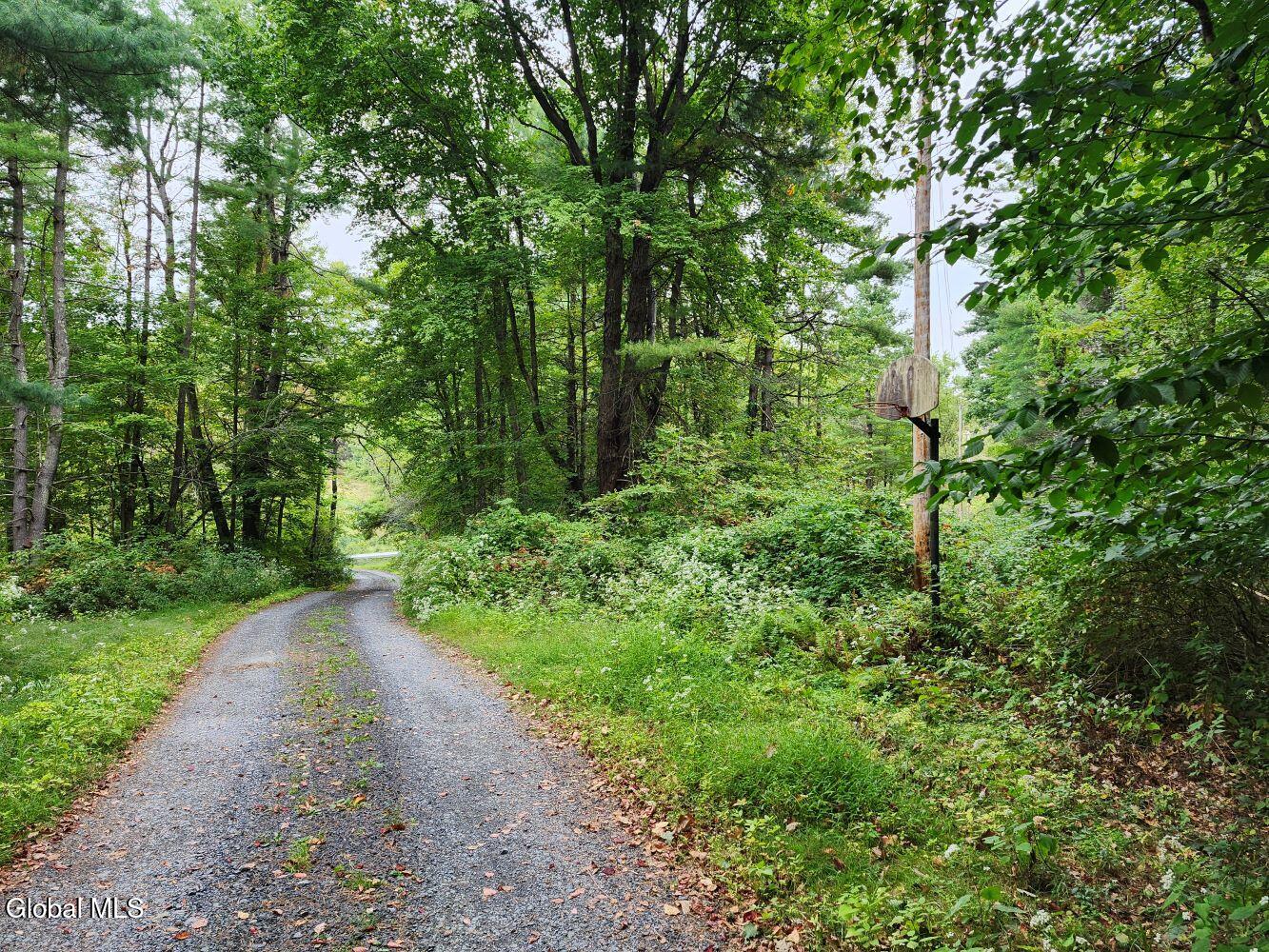 L5 Stage Road Buskirk, NY 12028 - Photo 9 of 10 20250919_085625