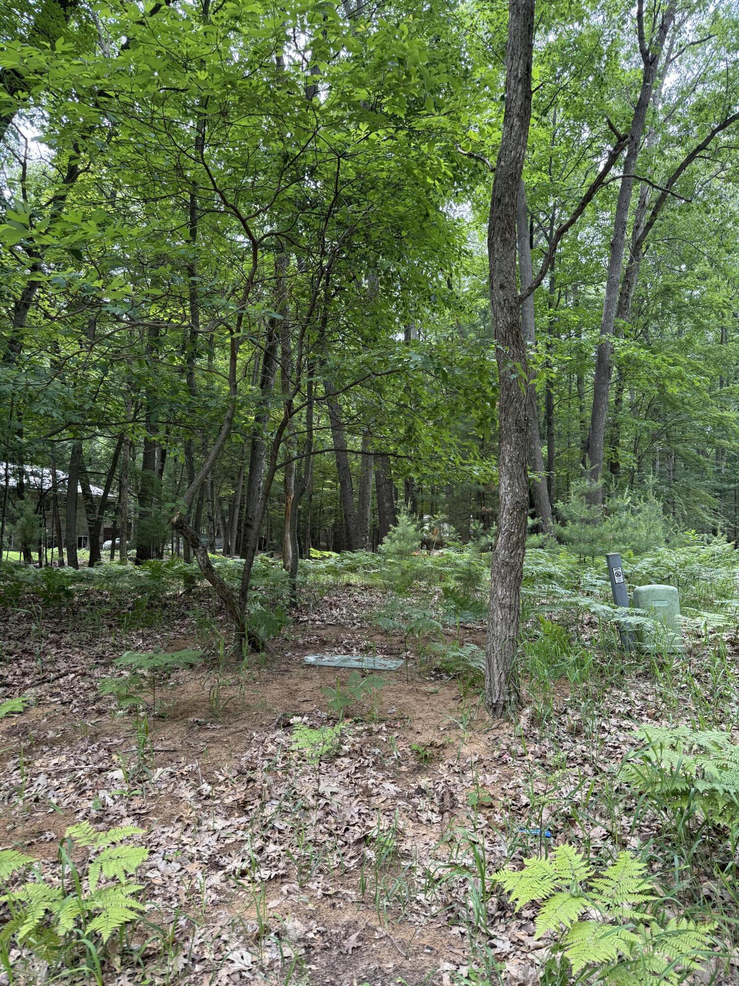Lot 127 Wayne Road Pentwater, MI 49449 - Photo 3 of 5 IMG_4335