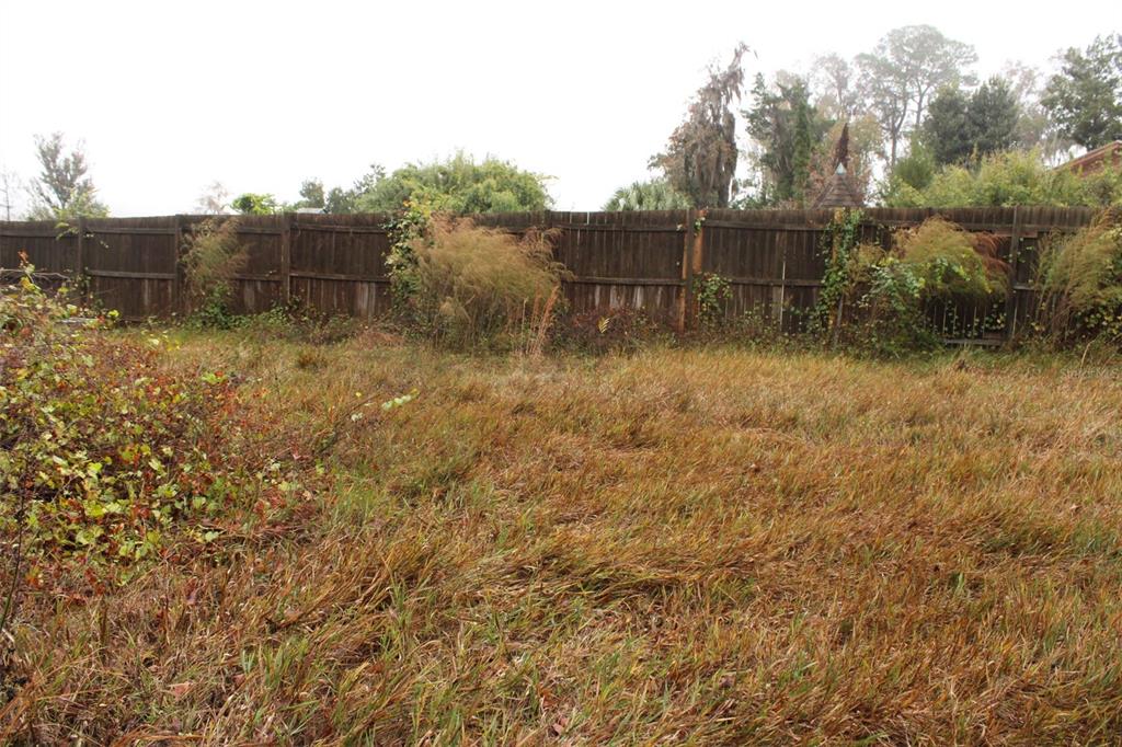 201 Floradandy Road Hawthorne, FL 32640 - Photo 8 of 11 a view of a backyard