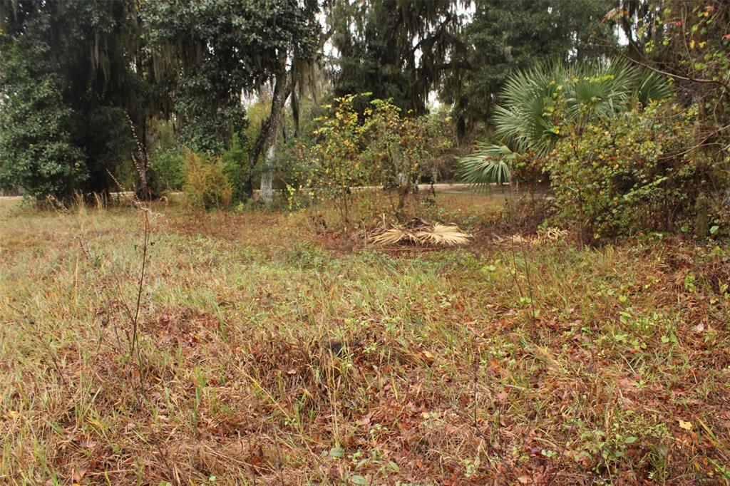 201 Floradandy Road Hawthorne, FL 32640 - Photo 9 of 11 a view of lake view