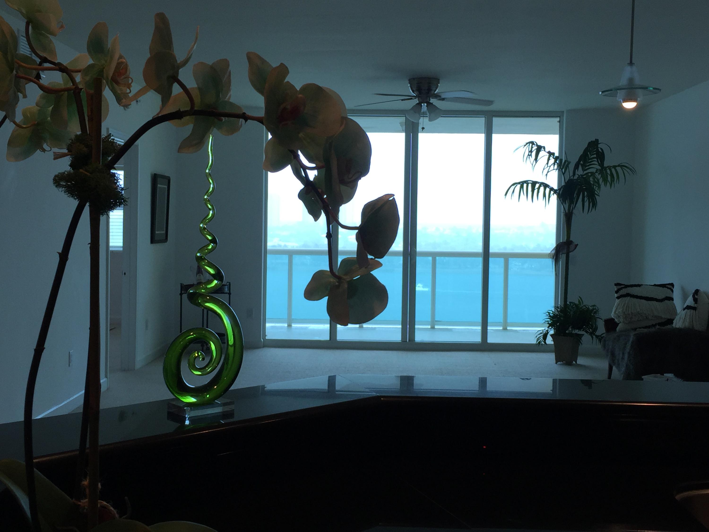 2640 Lake Shore Drive, Unit 809 Riviera Beach, FL 33404 - Photo 4 of 38 IMG_4026