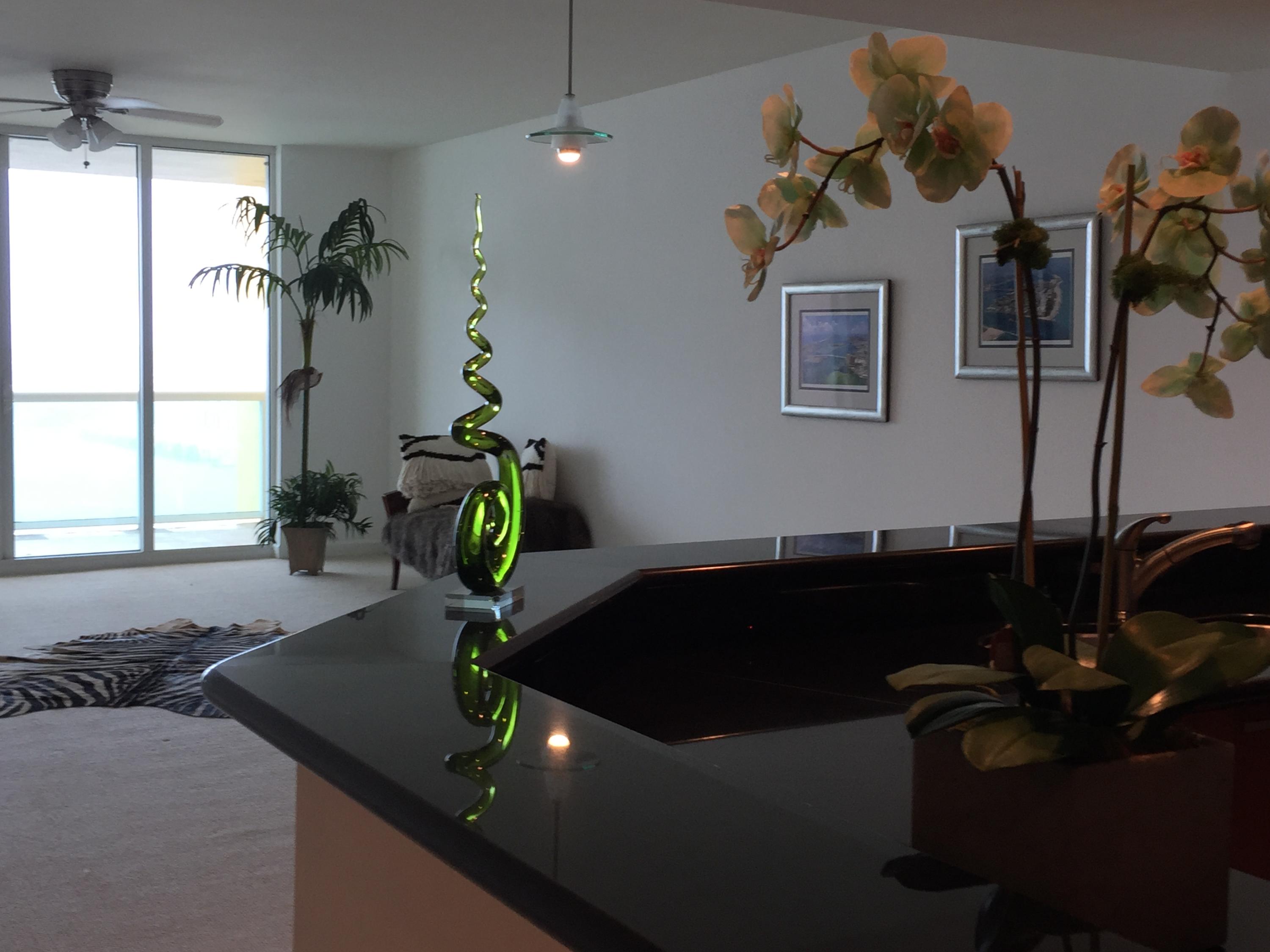 2640 Lake Shore Drive, Unit 809 Riviera Beach, FL 33404 - Photo 8 of 38 IMG_4024