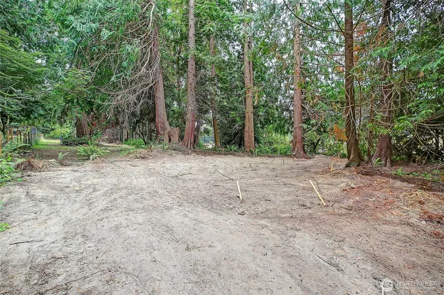 a view of a yard with trees in the background