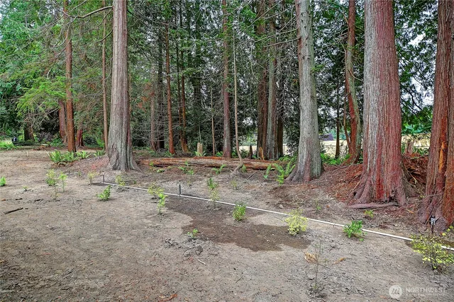 a backyard of a house with lots of green space