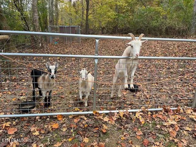 $449,900 | 645 Mt Pleasant Road, Vonore, TN 37885