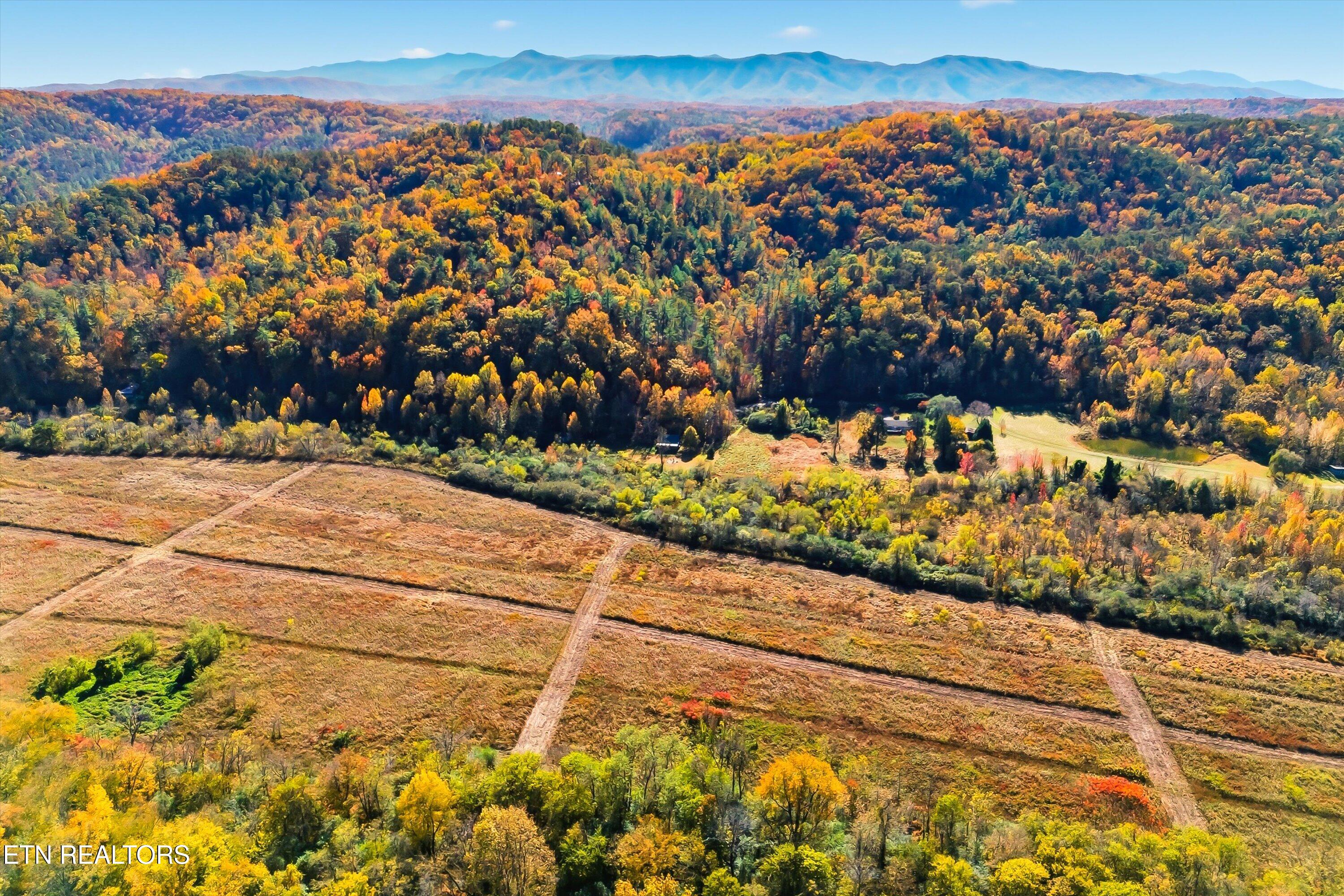 645 Mt Pleasant Road Vonore, TN 37885 - Photo 40 of 43 39-645 Mt Pleasant Rd-53
