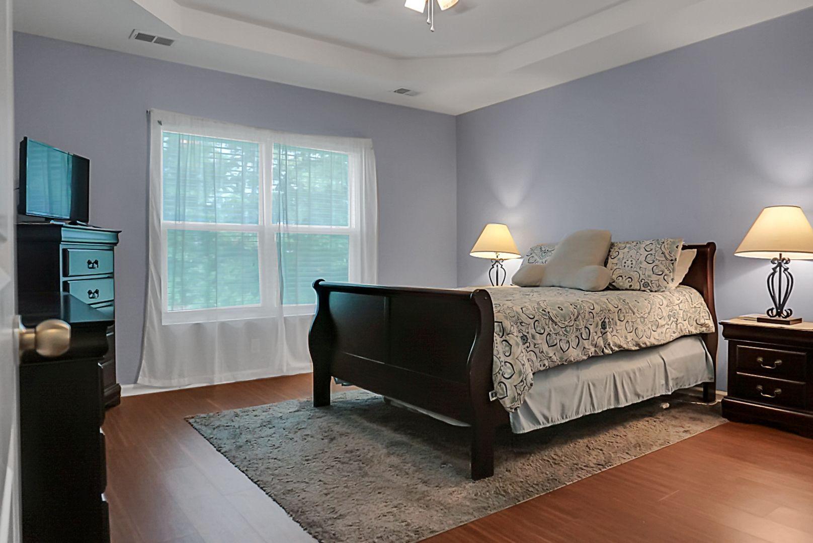 216 Alpine Road Summerville, SC 29485 - Photo 18 of 31 Master bedroom
