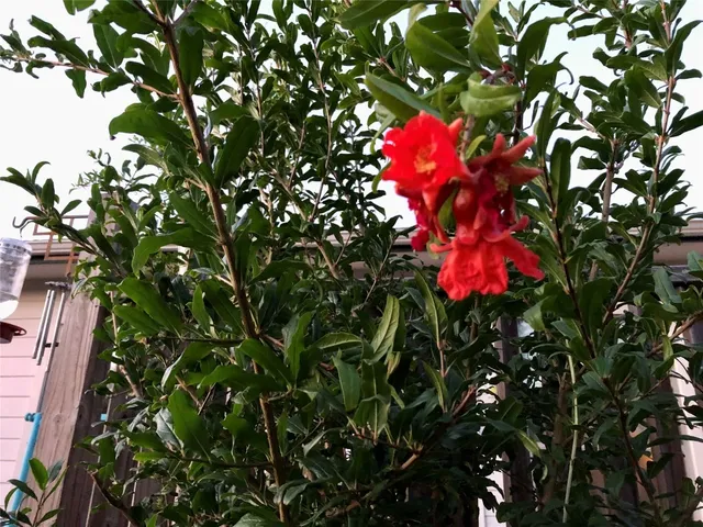 $895,000 | 5013 Sendero Springs Drive, Round Rock, TX 78681