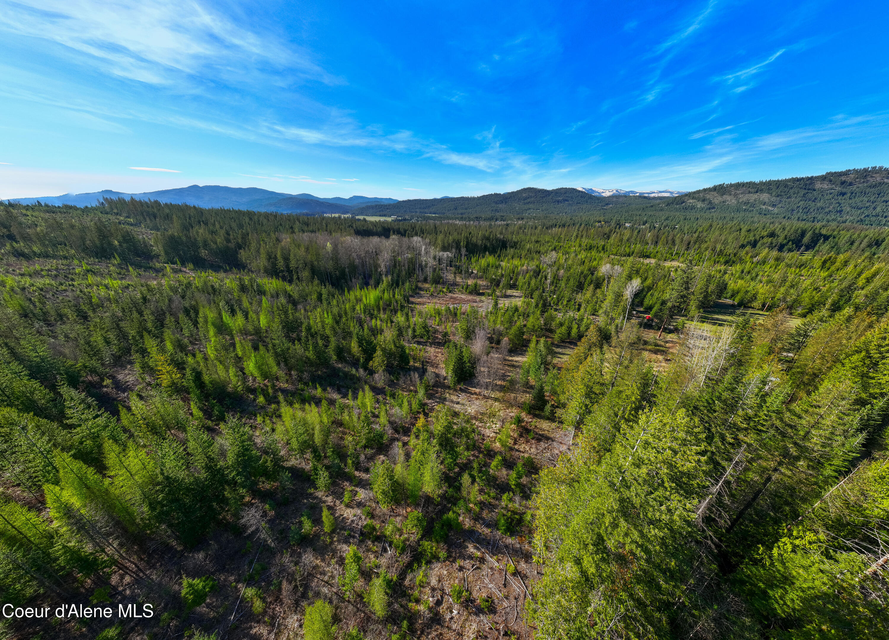963 Irish Road Sagle, ID 83860 - Photo 11 of 34 Timber views