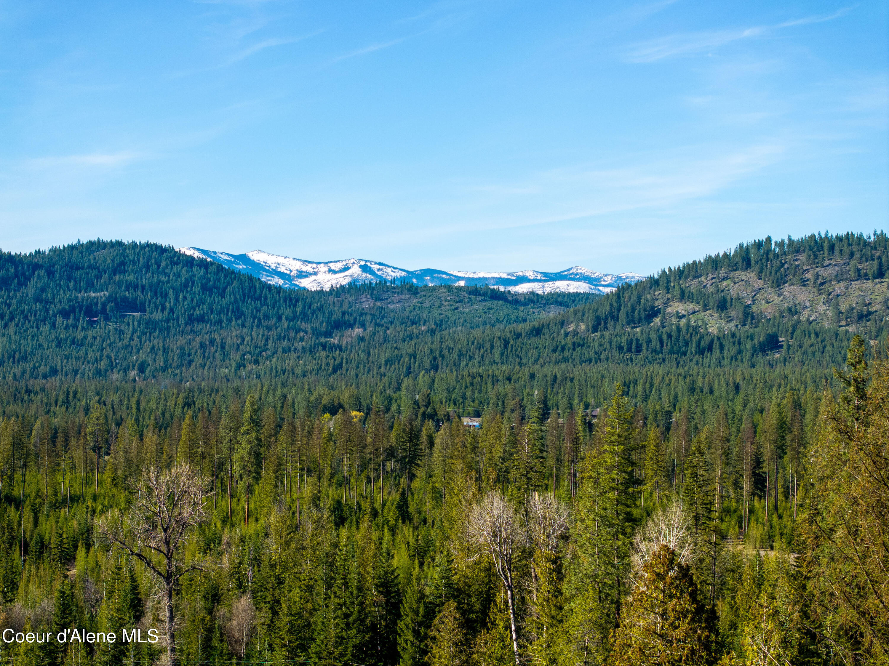 963 Irish Road Sagle, ID 83860 - Photo 12 of 34 View north