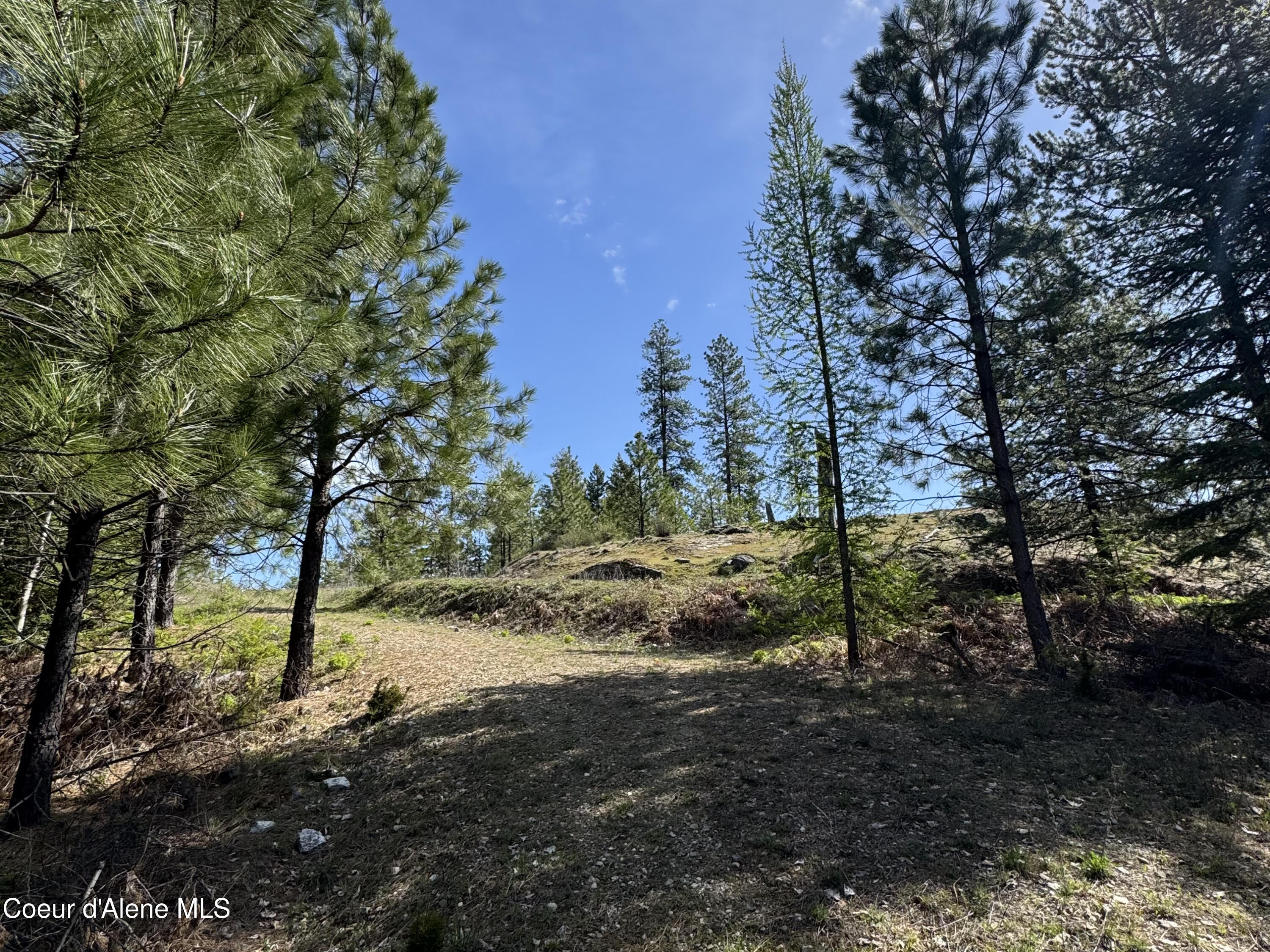 963 Irish Road Sagle, ID 83860 - Photo 18 of 34 IMG_0055