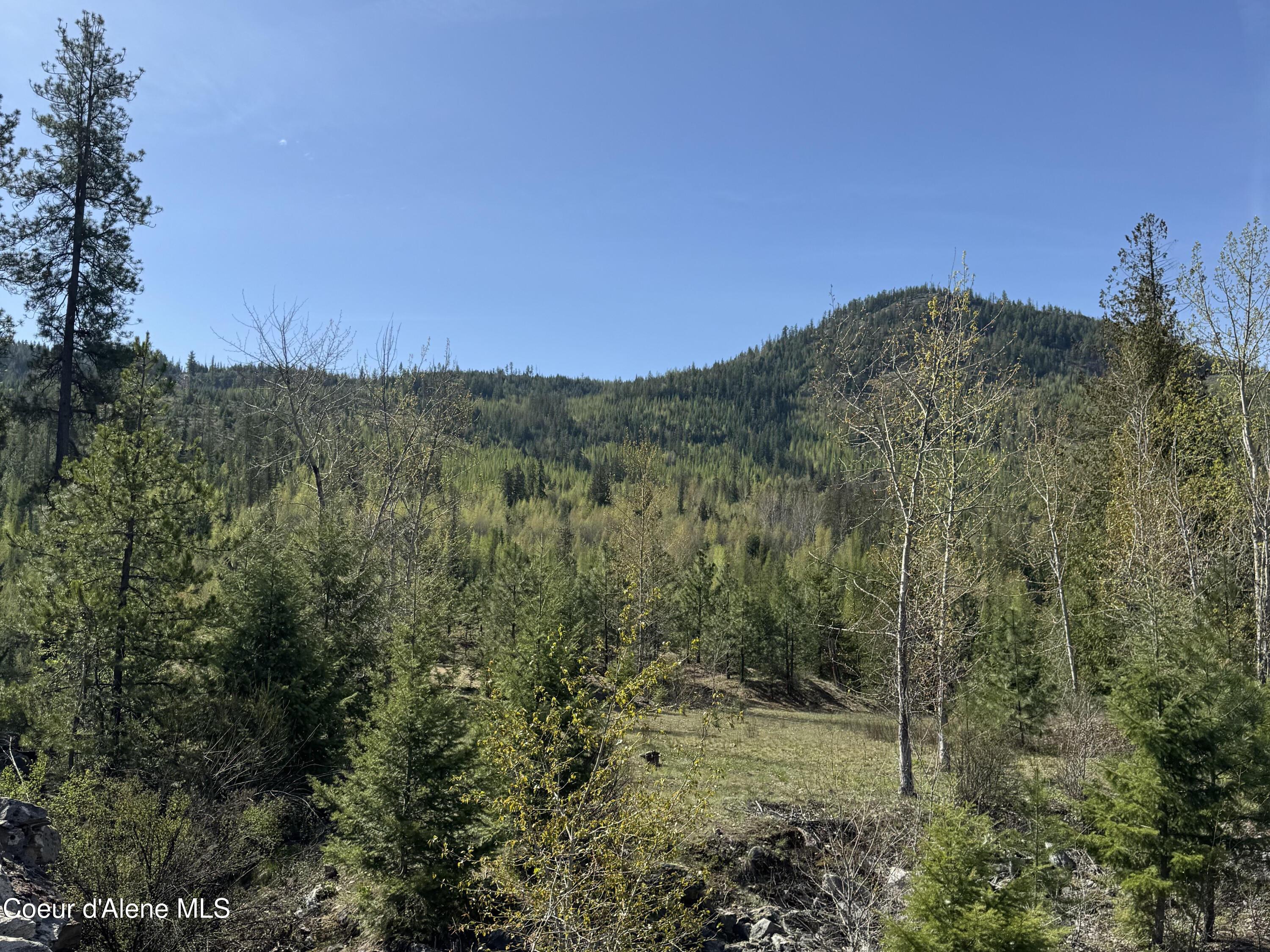 963 Irish Road Sagle, ID 83860 - Photo 20 of 34 IMG_0078