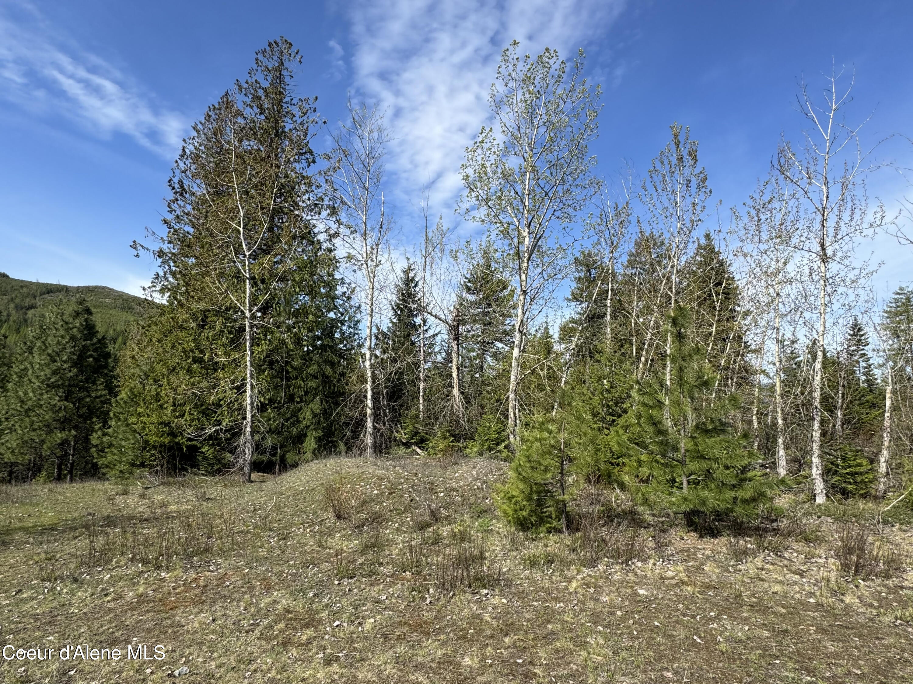 963 Irish Road Sagle, ID 83860 - Photo 21 of 34 IMG_0062