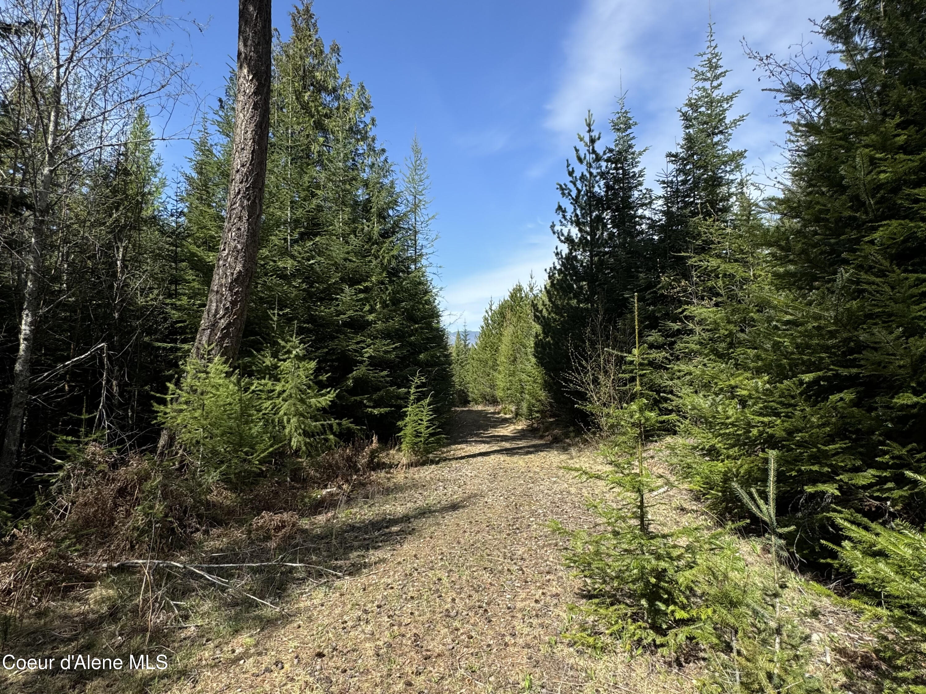 963 Irish Road Sagle, ID 83860 - Photo 25 of 34 IMG_0135