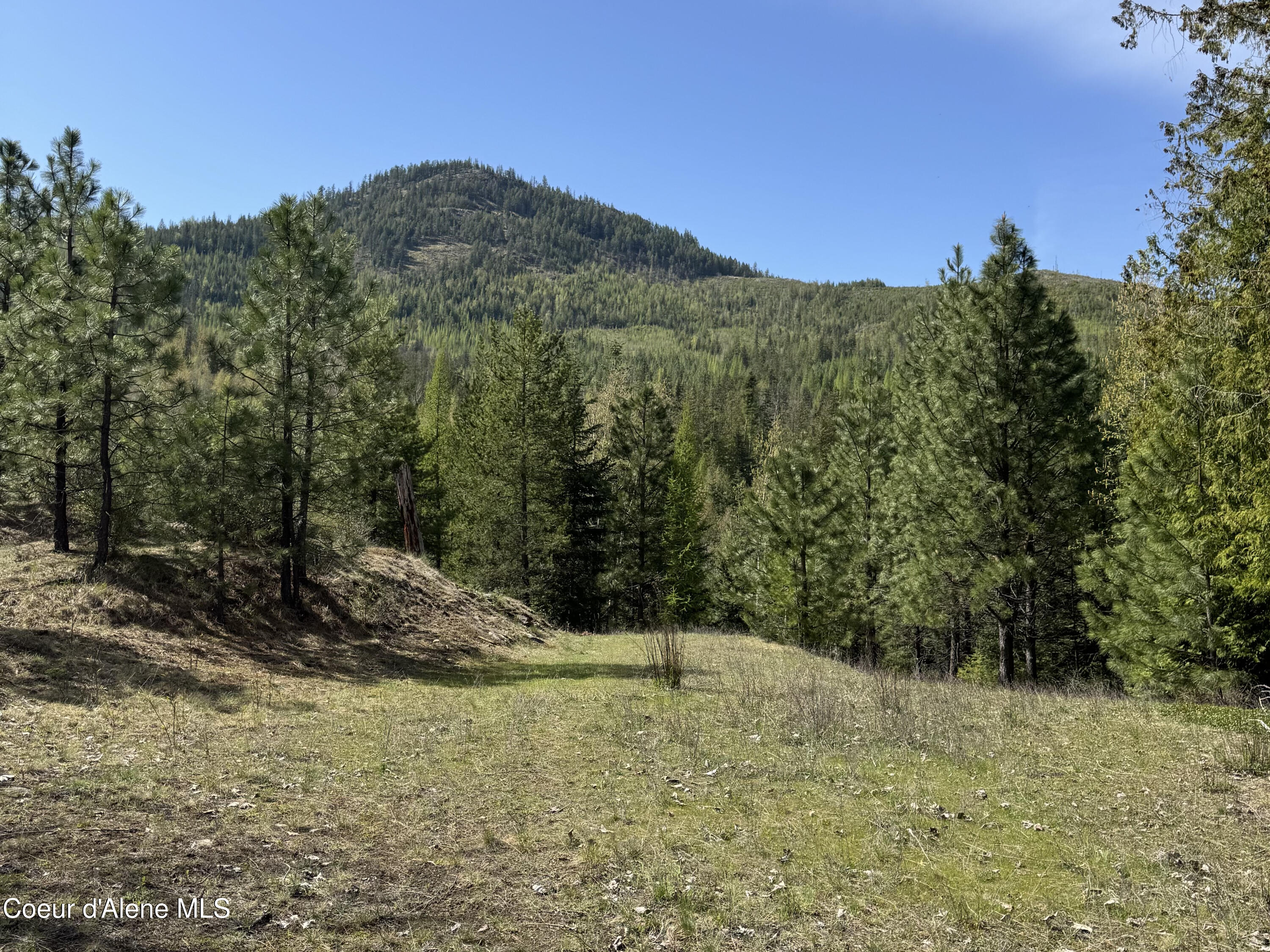 963 Irish Road Sagle, ID 83860 - Photo 26 of 34 IMG_0121