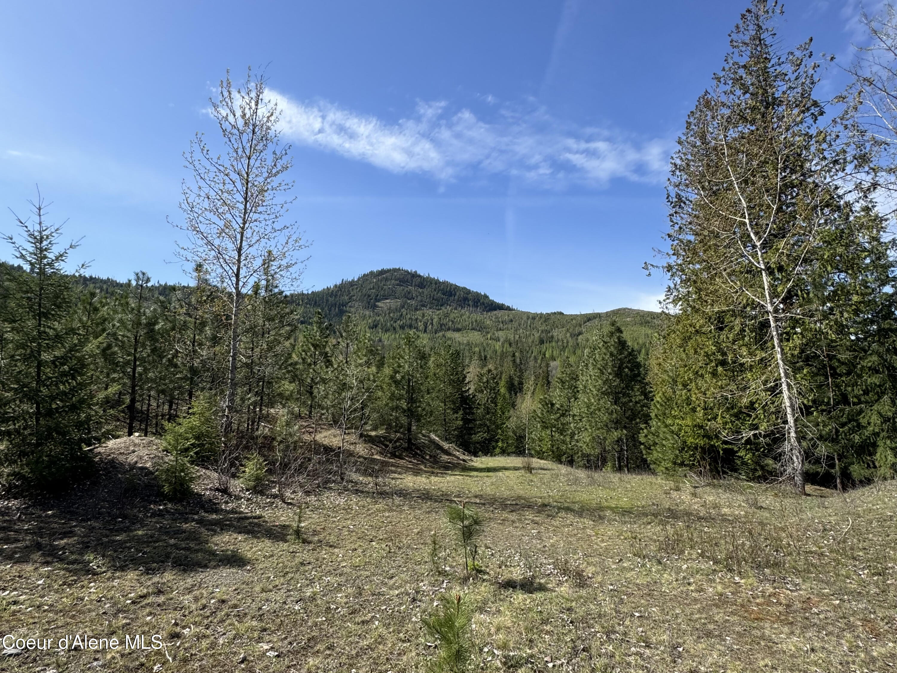 963 Irish Road Sagle, ID 83860 - Photo 28 of 34 IMG_0061