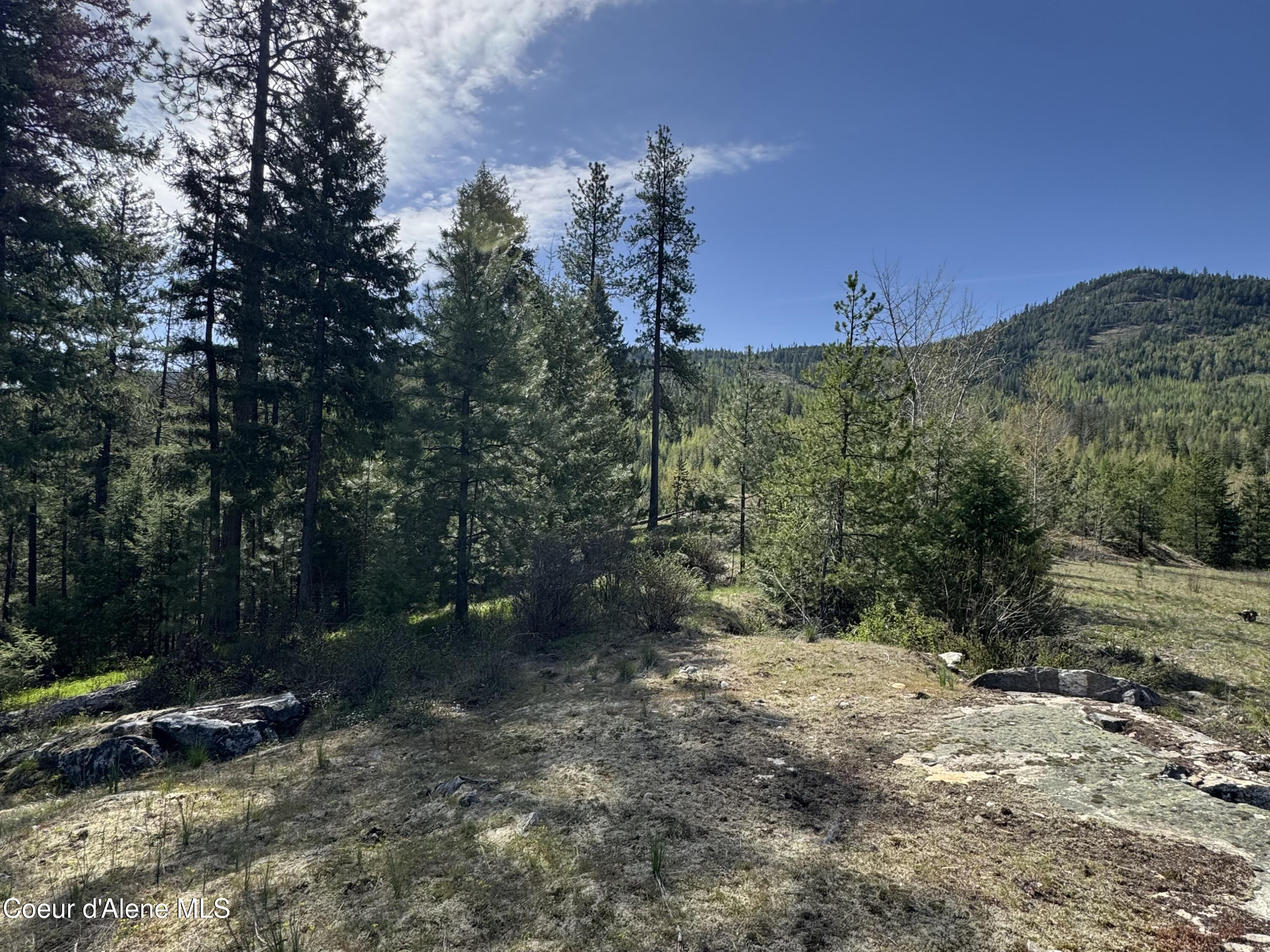 963 Irish Road Sagle, ID 83860 - Photo 31 of 34 IMG_0084