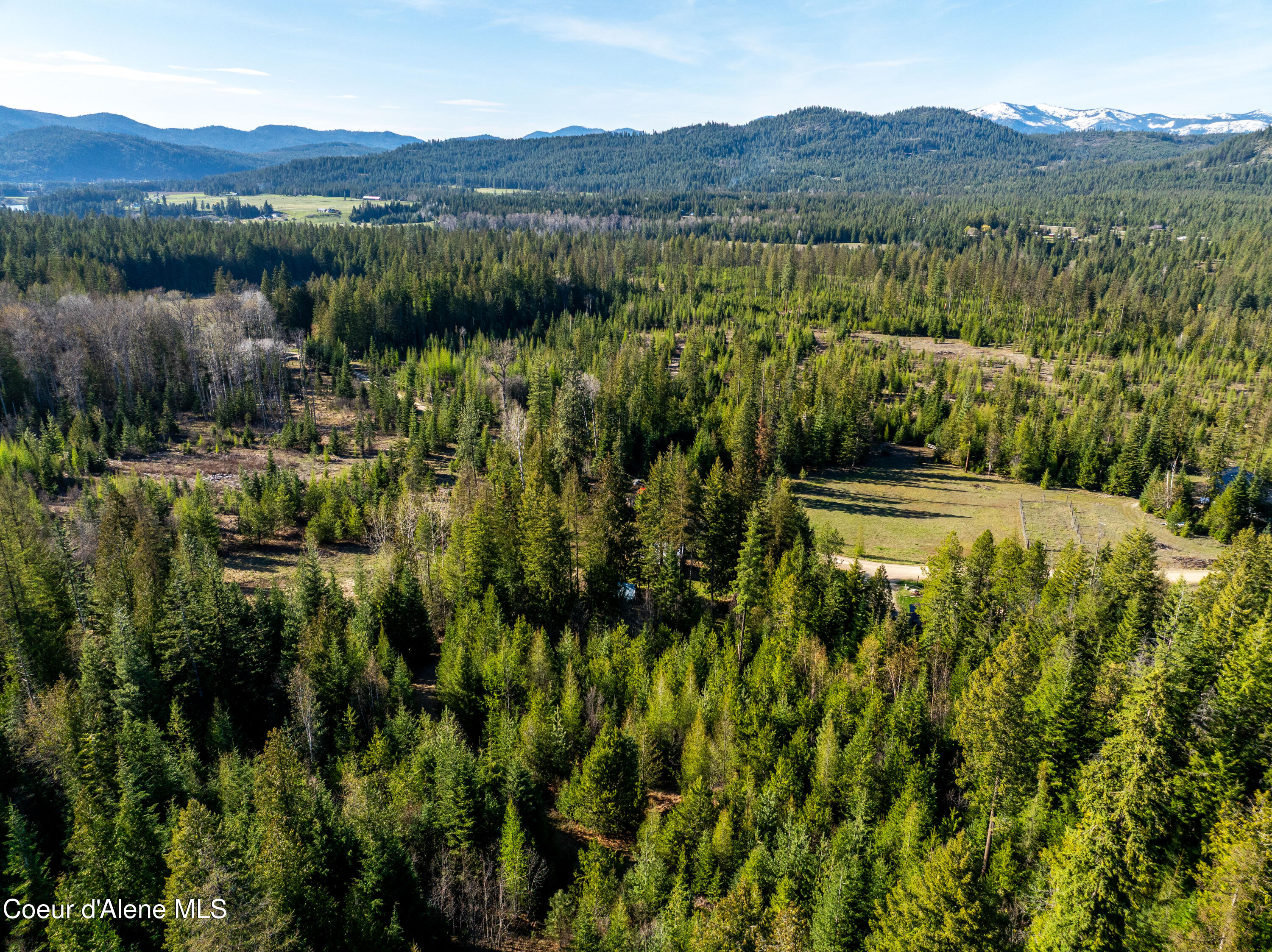 963 Irish Road Sagle, ID 83860 - Photo 4 of 34 Partial Timber