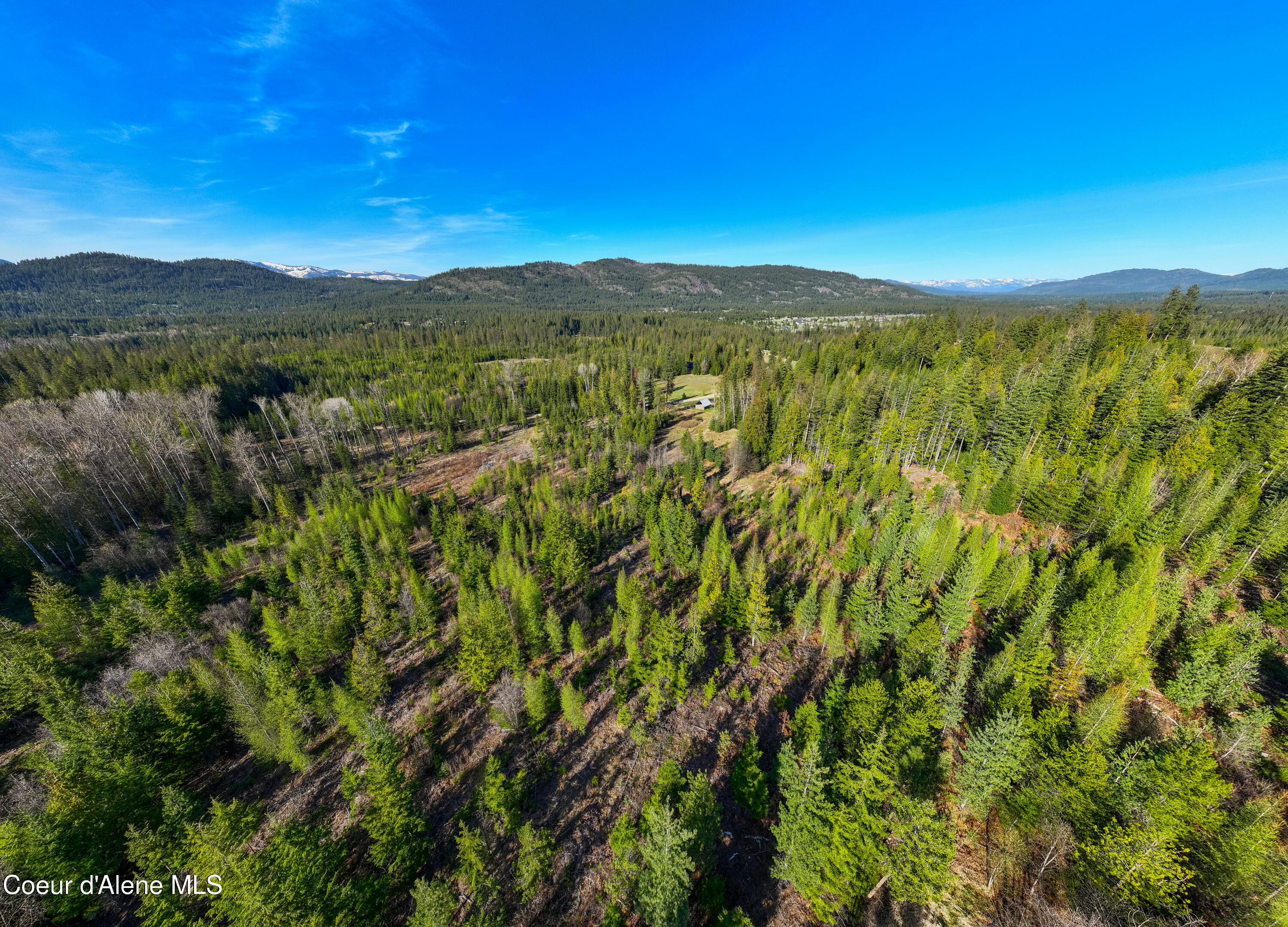 963 Irish Road Sagle, ID 83860 - Photo 10 of 34 Aerial of timber