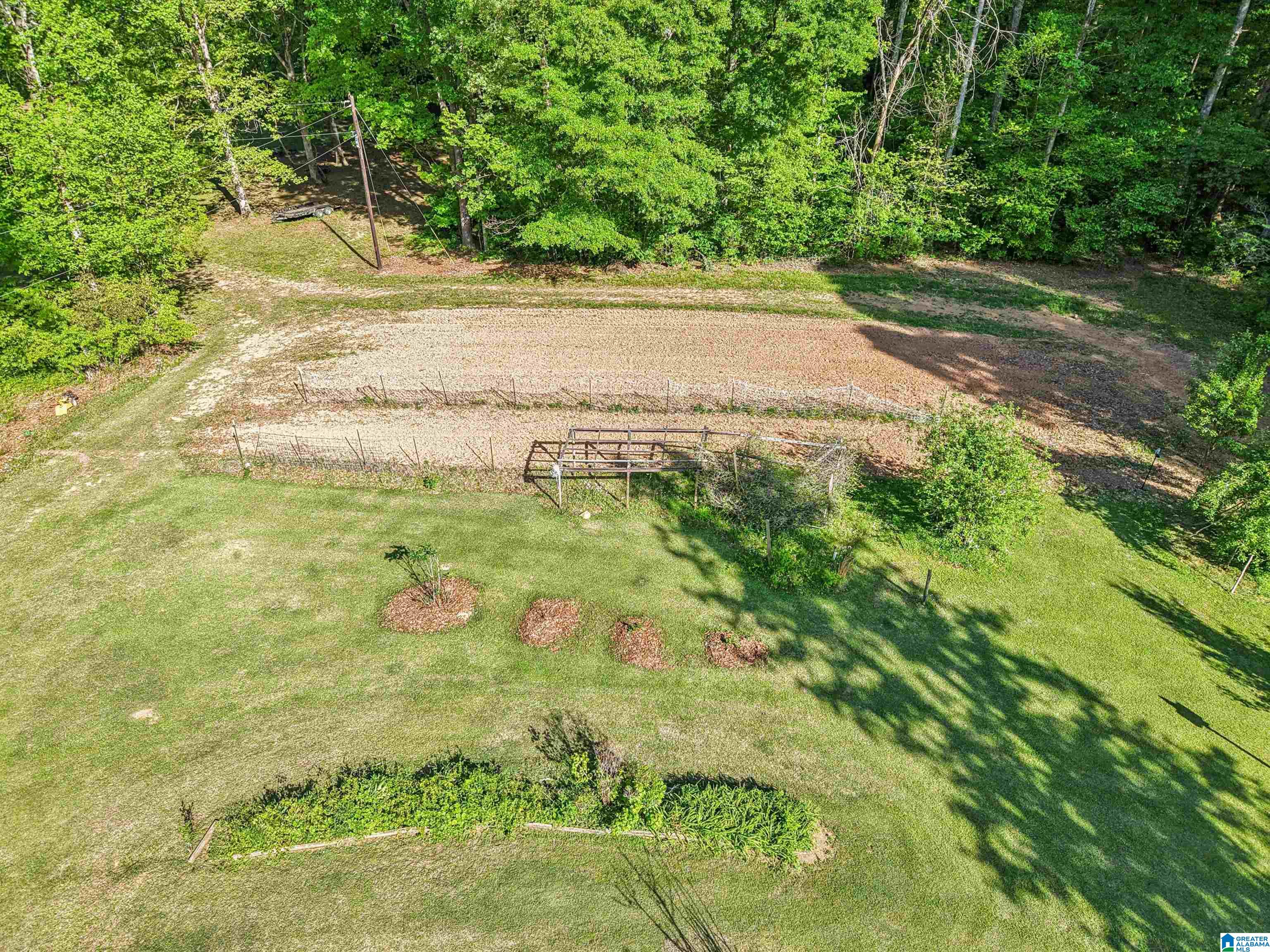 1680 Highway 174 Springville, AL 35146 - Photo 15 of 97