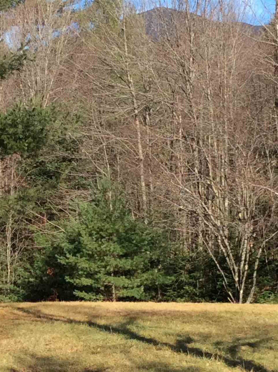 645 South Lincoln Road Lincoln, VT 05443 - Photo 22 of 28