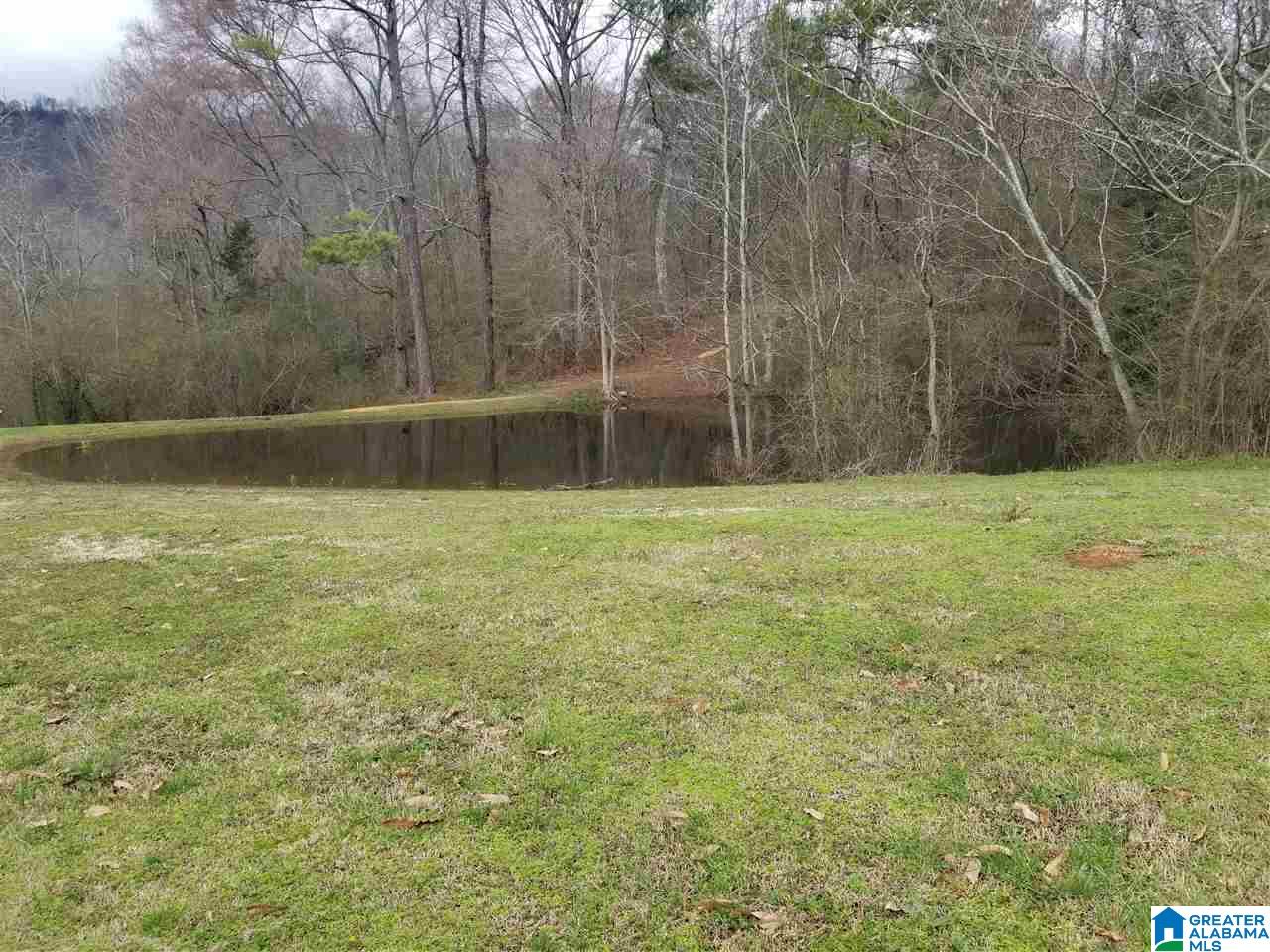 1225 Lakeview Street Steele, AL 35987 - Photo 24 of 24