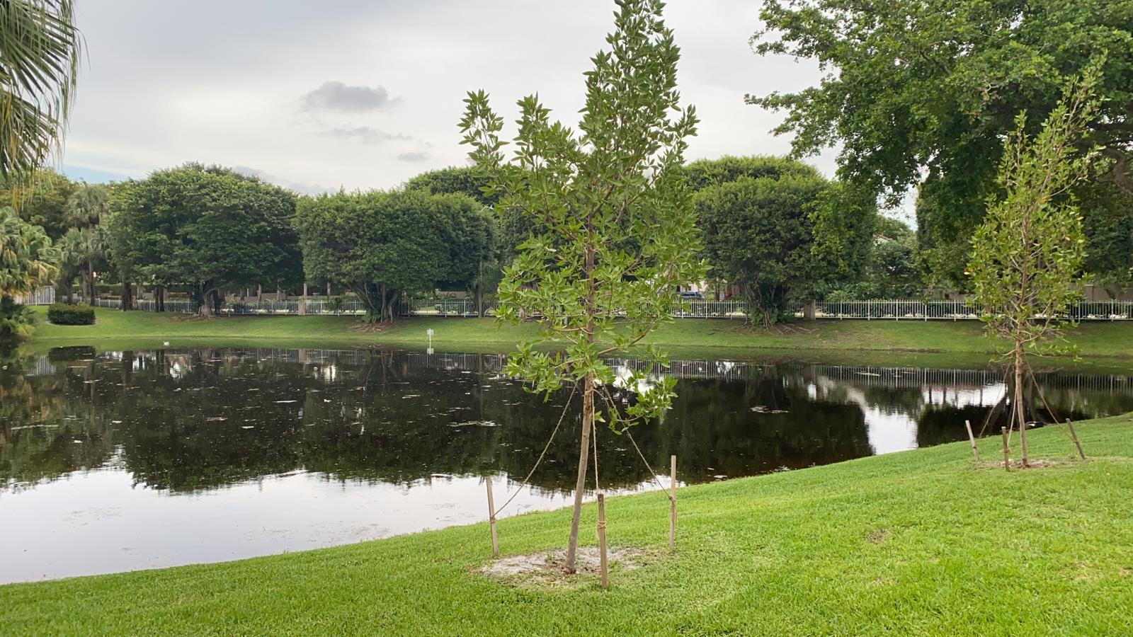 23290 La Vida Way Boca Raton, FL 33433 - Photo 13 of 16 aab8b444-a6cd-4006-9ff0-de733c9203d4