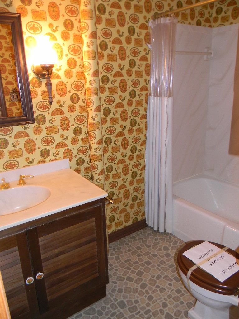 3701 Mud Lick Road Southwest Roanoke, VA 24018 - Photo 24 of 36 Lower Level Bath