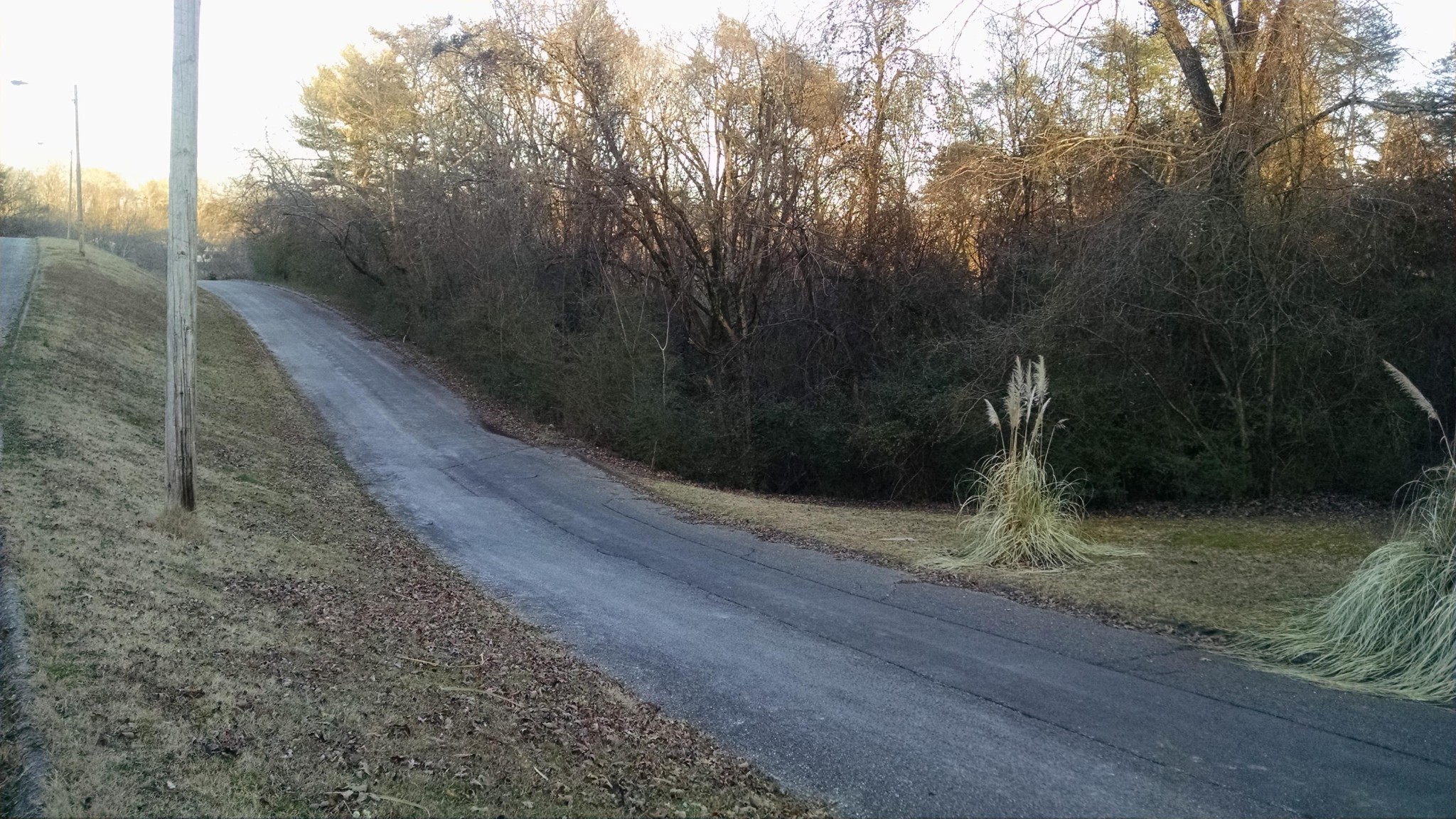 0 North Forest Point Hixson, TN 37343 - Photo 3 of 4 Gallery Image 3