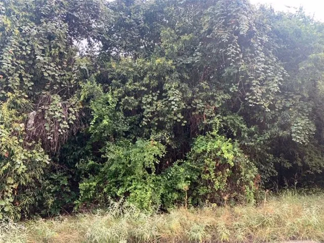 $225,000 | 610 West Nash Street, Round Rock, TX 78664