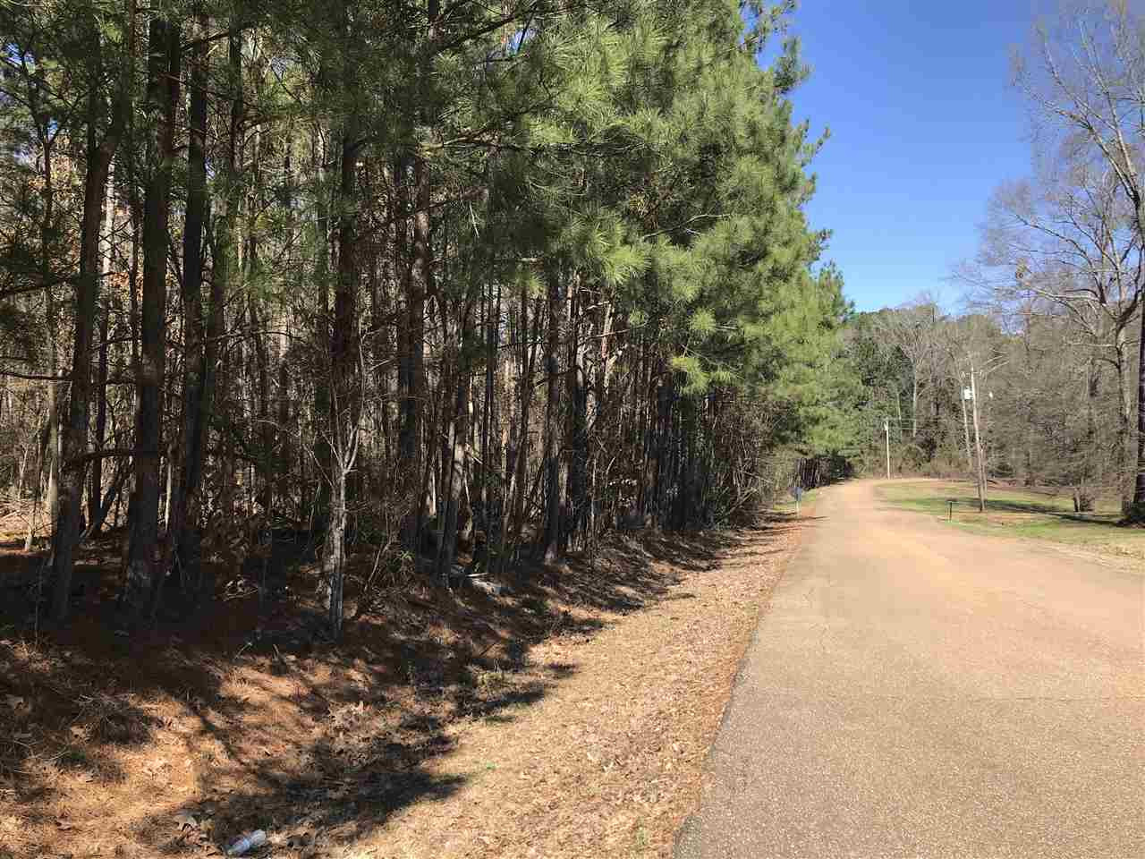 0 Old Rice Road Canton, MS 39110 - Photo 7 of 8 Photo 7