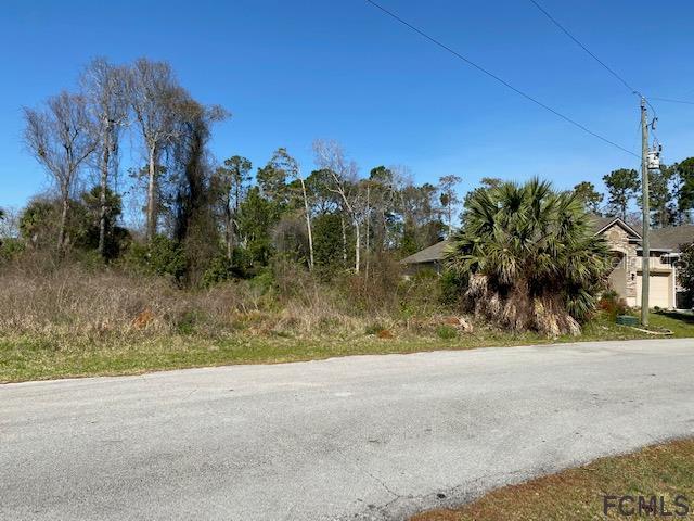 5 Pythian Place Palm Coast, FL 32164 - Photo 1 of 1
