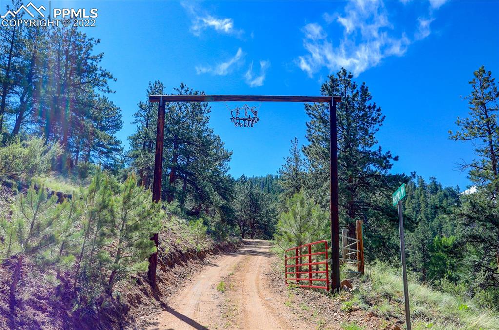 56801 US Highway 285 Bailey, CO 80421 - Photo 3 of 29 a view of a outdoor space