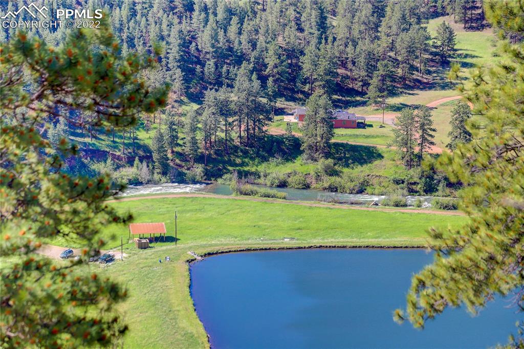 56801 US Highway 285 Bailey, CO 80421 - Photo 10 of 29 a view of a big yard with swimming pool and green space