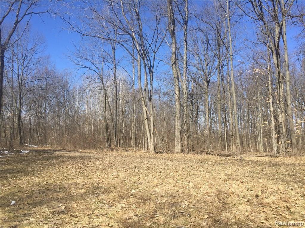9818 Hickory Ridge Road Northville, MI 48167 - Photo 2 of 6
