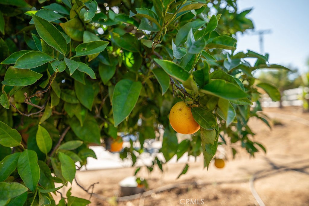 29076 Sunset Road Valley Center, CA 92082 - Photo 55 of 71