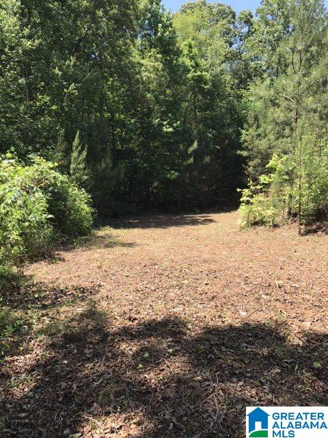 Wright Way Drive, Unit 3 Wedowee, AL 36278 - Photo 5 of 8