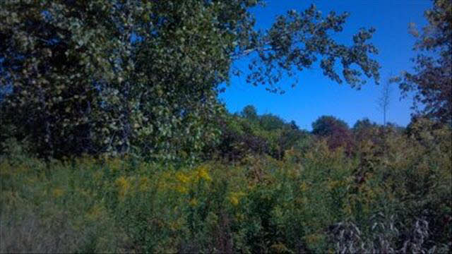 457 West Dean Road Temperance, MI 48182 - Photo 11 of 20 20390006-10.JPG