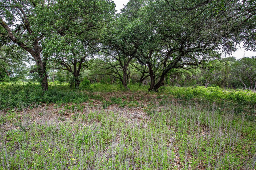 Tbd Gholson Road Waco, TX 76705 - Photo 10 of 17