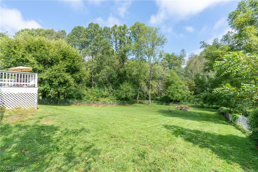7139 Gopher Road Southwest Dellroy, OH 44620 - Photo 6 of 22 Gallery Image 6