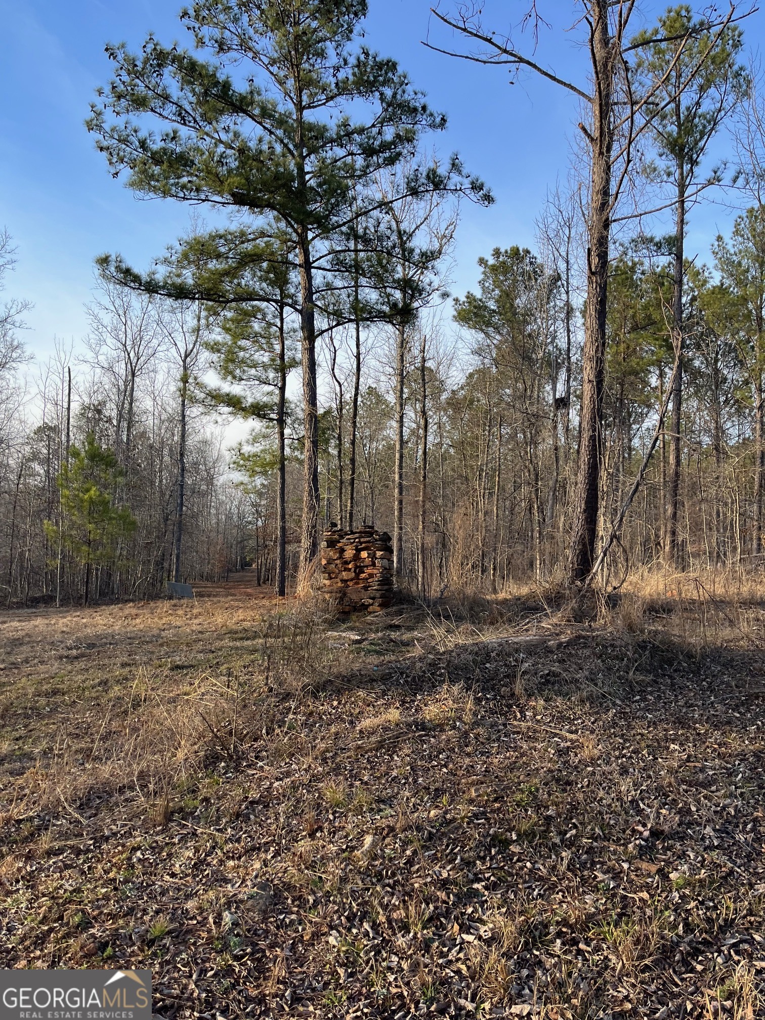 0 Ellis Church Road Haddock, GA 31033 - Photo 9 of 13